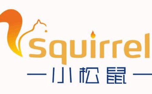 小松鼠壁掛爐水泵卡死了原因分析/壁掛爐水泵卡死如何維修