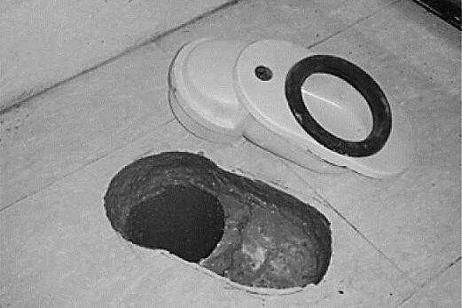 馬桶反味是什么原因