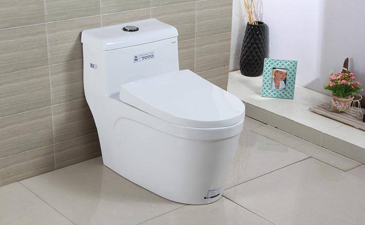 馬桶好還是蹲便器好