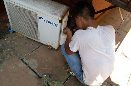 ���������޿��{(di��o)�Ԓ̖(h��o)�a_������ԃ